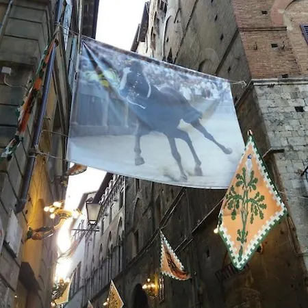 Centro Storico, I Pellegrini *